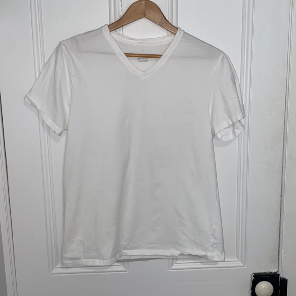 Everlane The Organic Cotton V-Neck Tee | Uniform